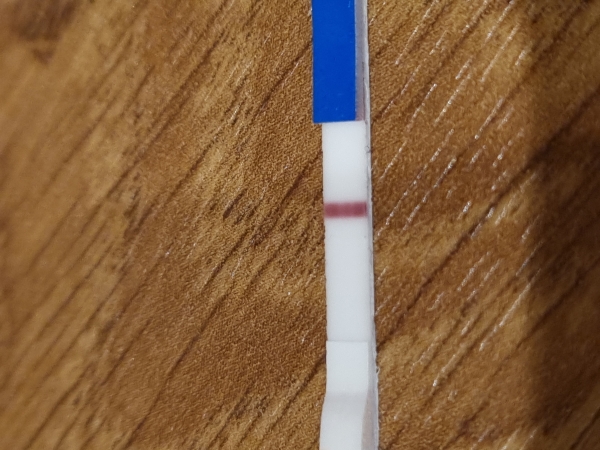 Home Pregnancy Test, 9 Days Post Ovulation