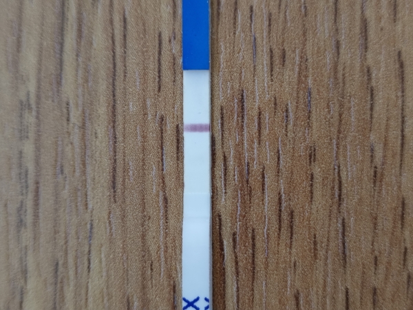 Home Pregnancy Test