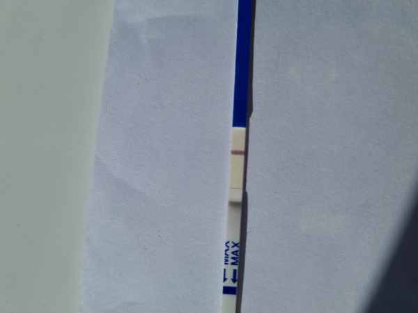 Home Pregnancy Test