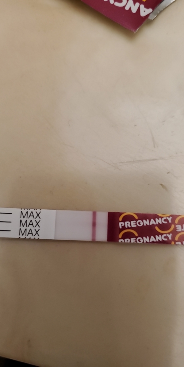 Home Pregnancy Test
