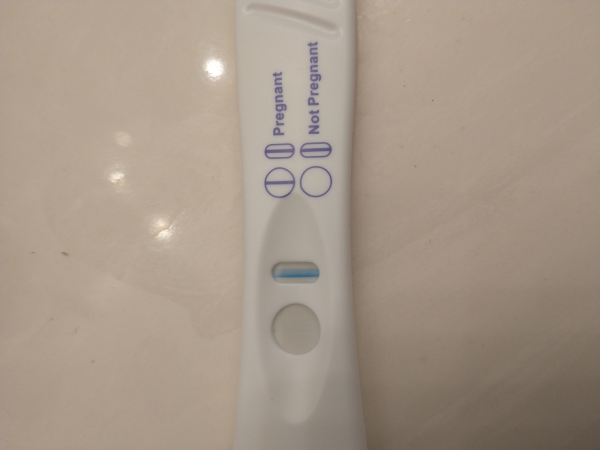 Home Pregnancy Test