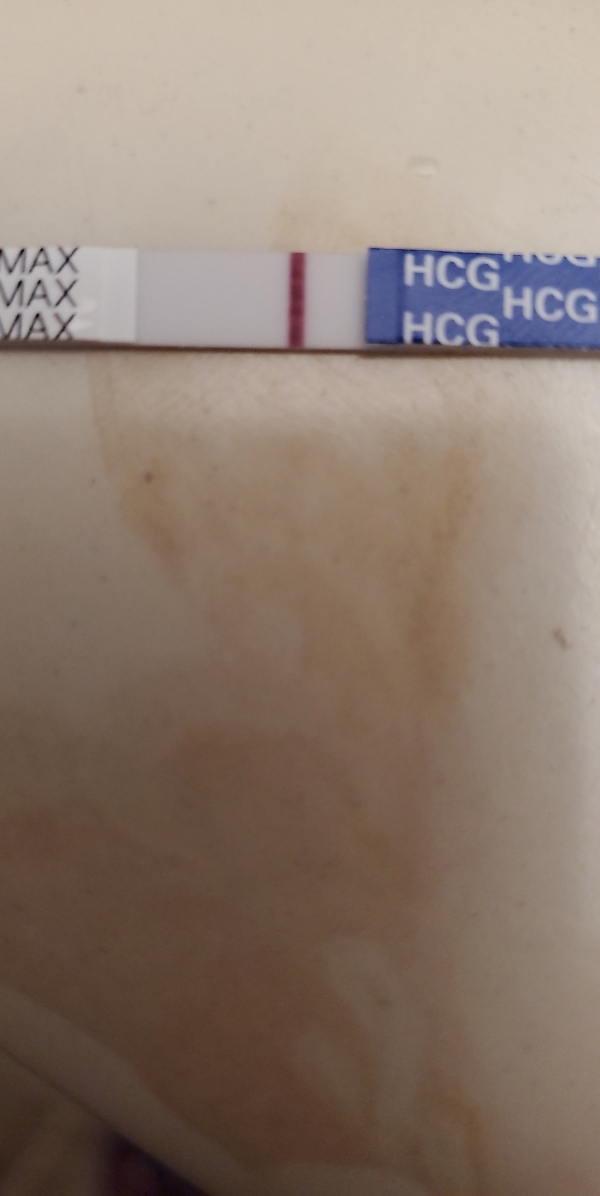 Home Pregnancy Test