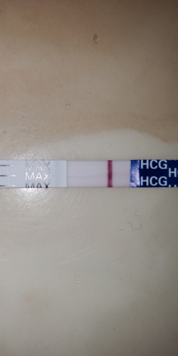 Home Pregnancy Test