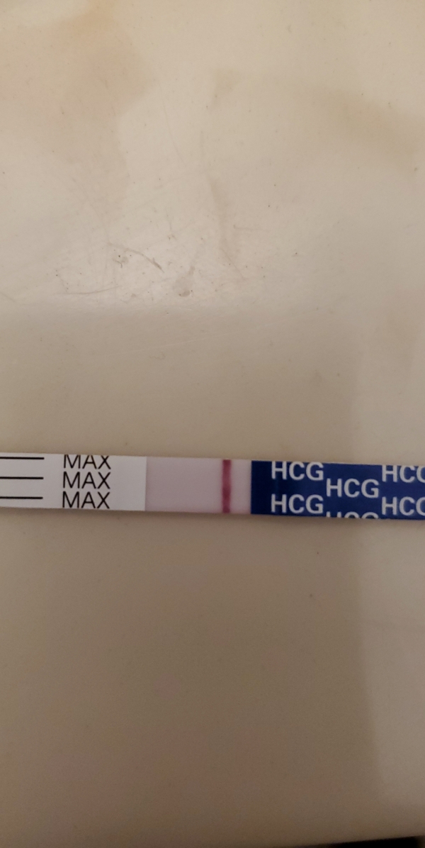 Home Pregnancy Test
