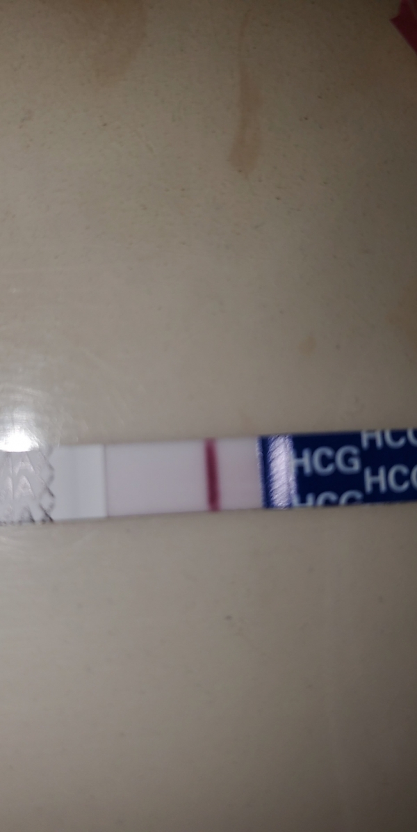 Home Pregnancy Test