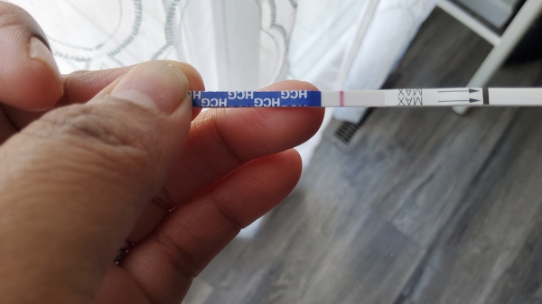 Home Pregnancy Test