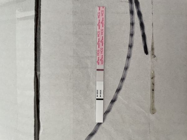 Easy-At-Home Pregnancy Test, 12 Days Post Ovulation, FMU