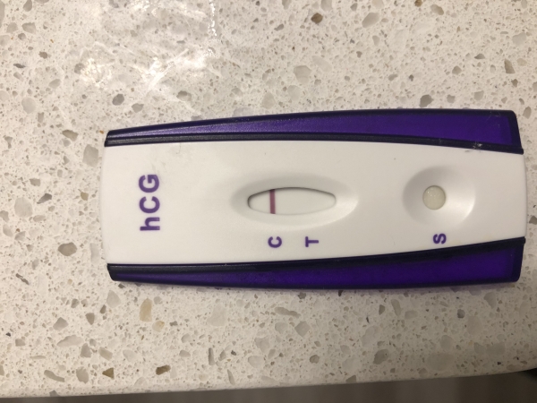 Home Pregnancy Test