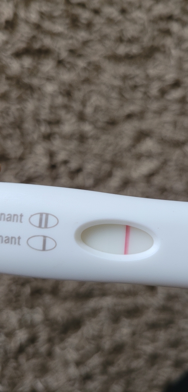 Home Pregnancy Test
