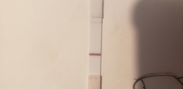 Home Pregnancy Test