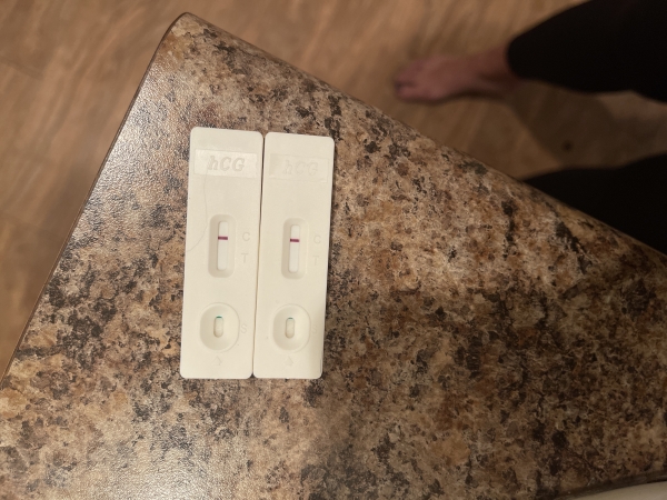 Home Pregnancy Test