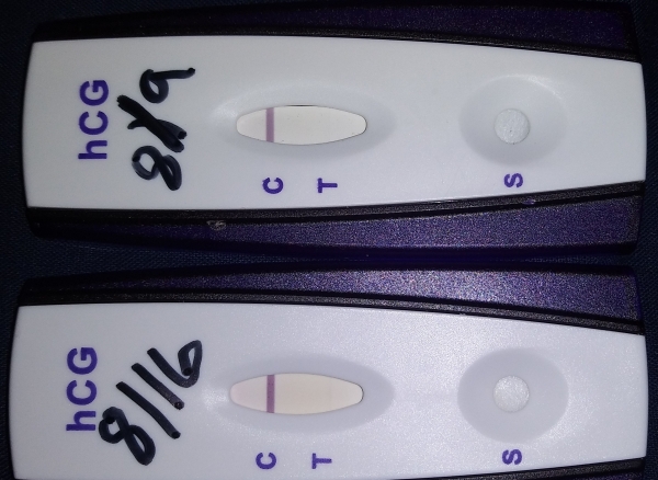 Home Pregnancy Test