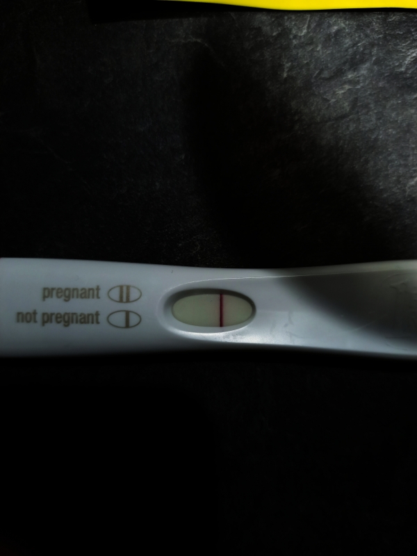 First Response Early Pregnancy Test