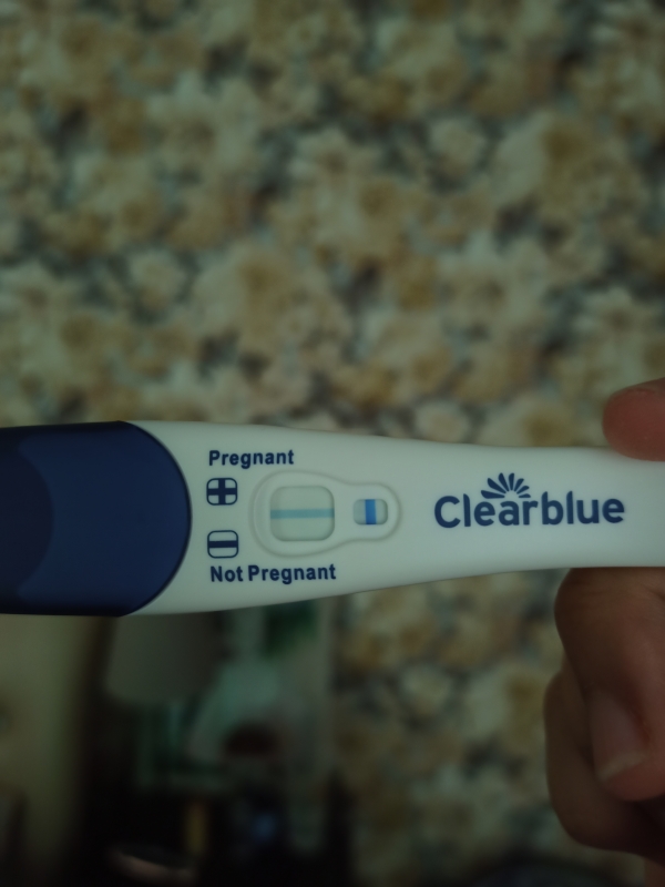 Home Pregnancy Test