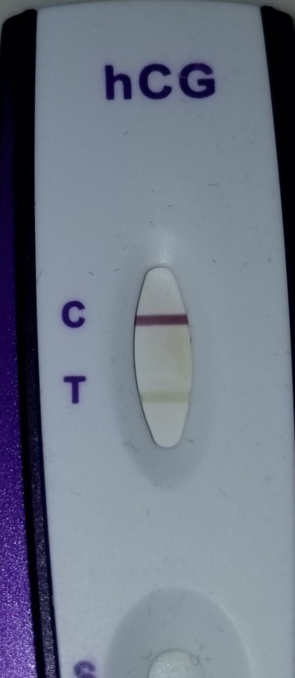 Home Pregnancy Test