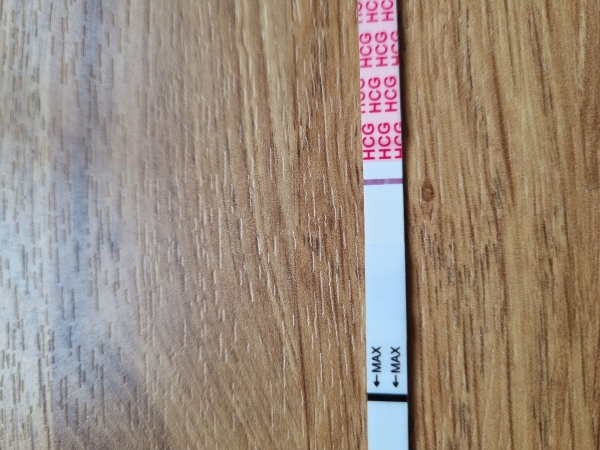 Home Pregnancy Test