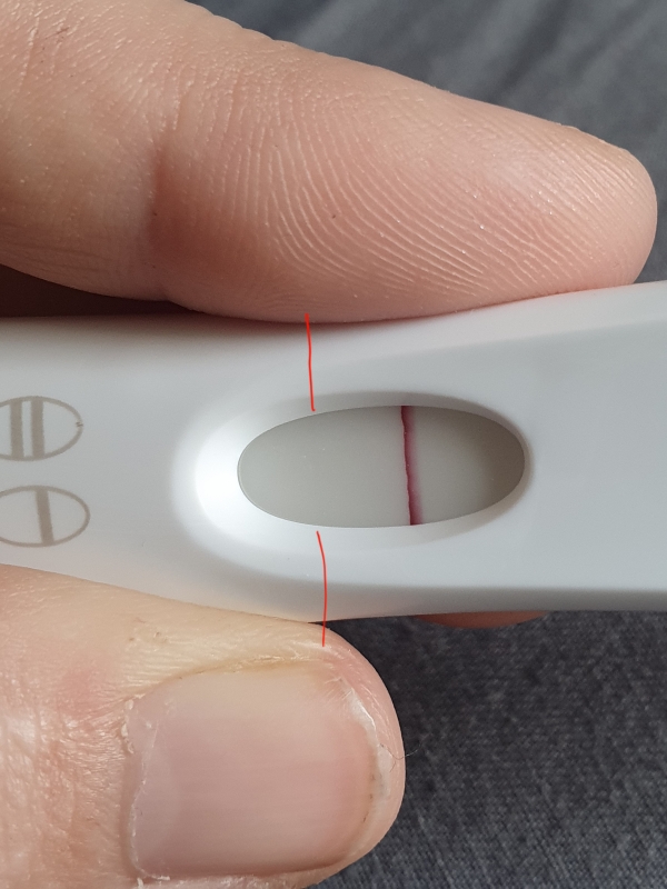 Home Pregnancy Test
