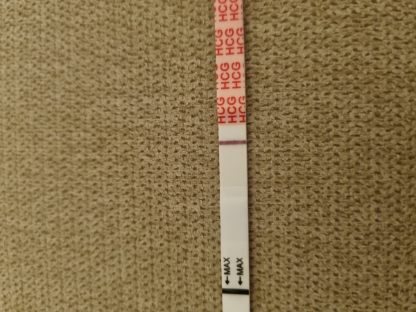 Home Pregnancy Test