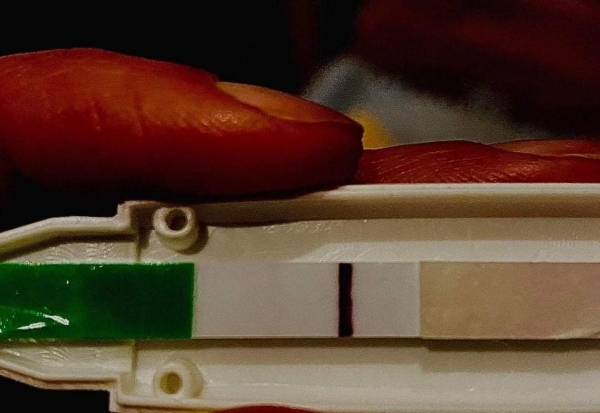 Generic Pregnancy Test, 9 Days Post Ovulation, Cycle Day 29