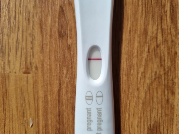 Home Pregnancy Test