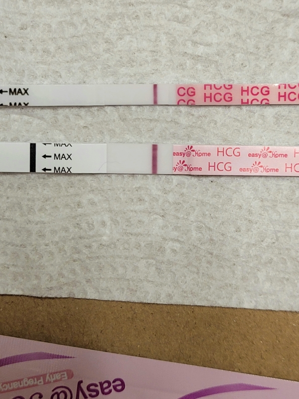 Home Pregnancy Test, 10 Days Post Ovulation