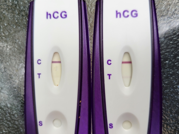 Equate One Step Pregnancy Test, 16 Days Post Ovulation, Cycle Day 31