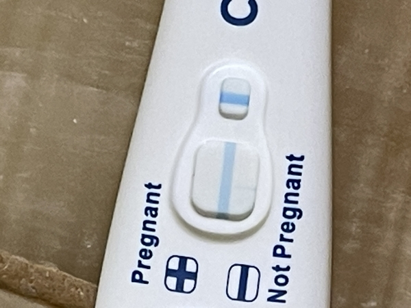 Home Pregnancy Test