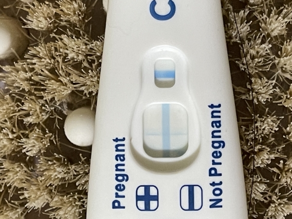 Home Pregnancy Test