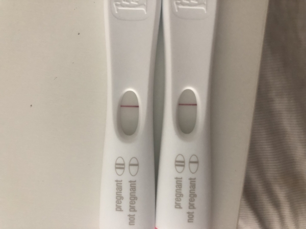 First Response Early Pregnancy Test, 6 Days Post Ovulation