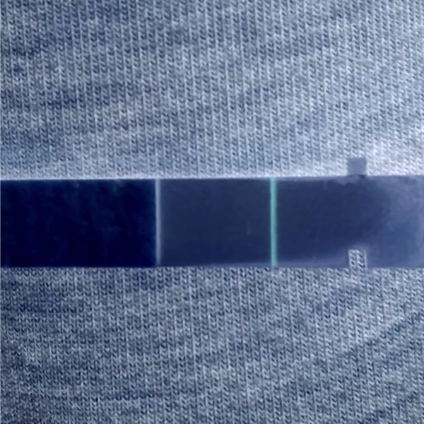 First Response Early Pregnancy Test, 10 Days Post Ovulation