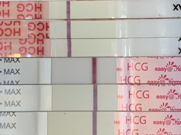 Wondfo Test Strips Pregnancy Test, 6 Days Post Ovulation, FMU, Cycle Day 18