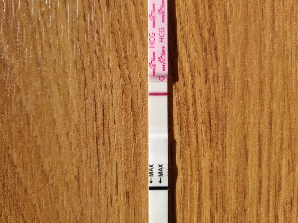 Home Pregnancy Test