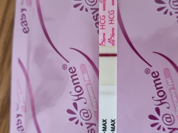 Home Pregnancy Test