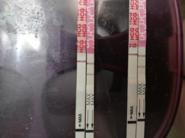 Generic Pregnancy Test, 6 Days Post Ovulation, Cycle Day 20
