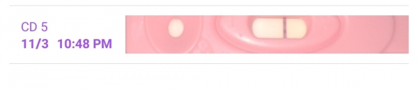 New Choice Pregnancy Test, 18 Days Post Ovulation