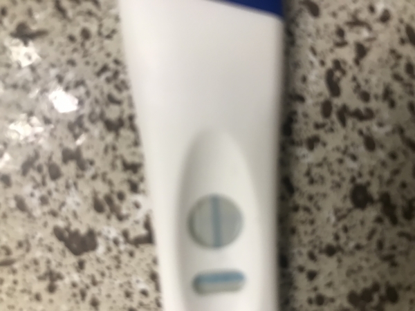 CVS One Step Pregnancy Test, 14 Days Post Ovulation, Cycle Day 29