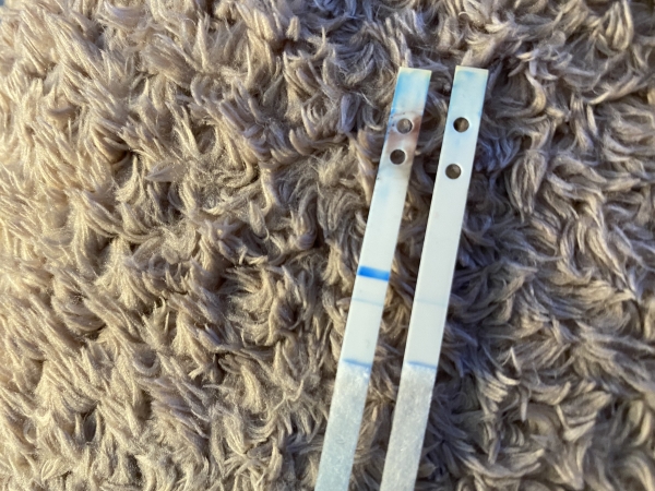 Clearblue Digital Pregnancy Test