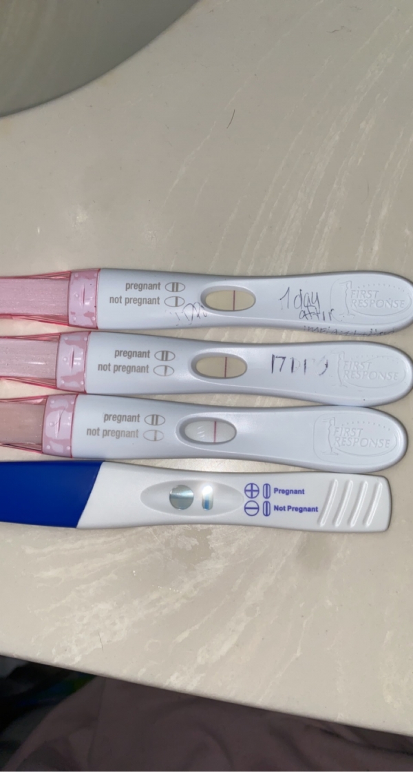 First Response Early Pregnancy Test, 14 Days Post Ovulation, Cycle Day 29
