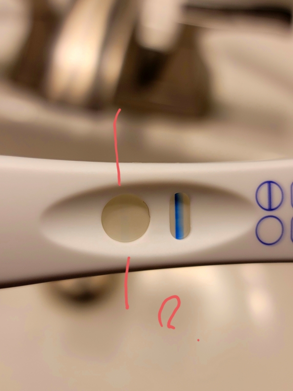 Home Pregnancy Test