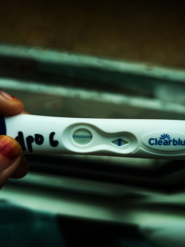 Home Pregnancy Test
