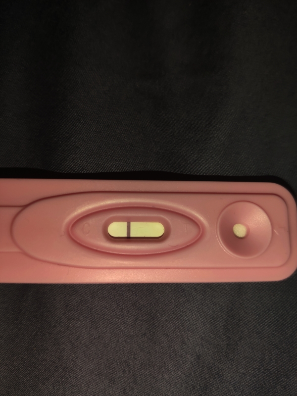 Home Pregnancy Test