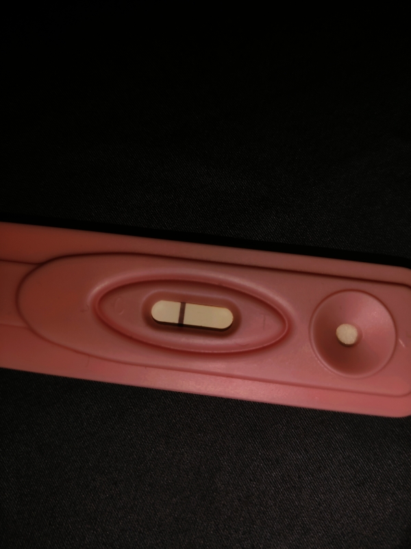 Home Pregnancy Test
