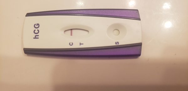 Home Pregnancy Test