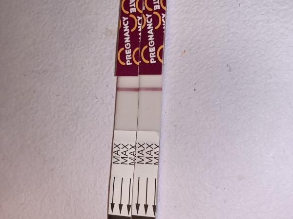Pregmate Pregnancy Test