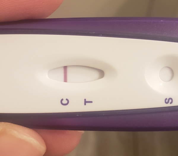 Home Pregnancy Test