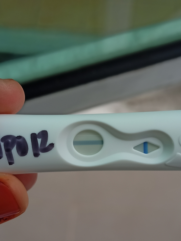 Home Pregnancy Test, 12 Days Post Ovulation