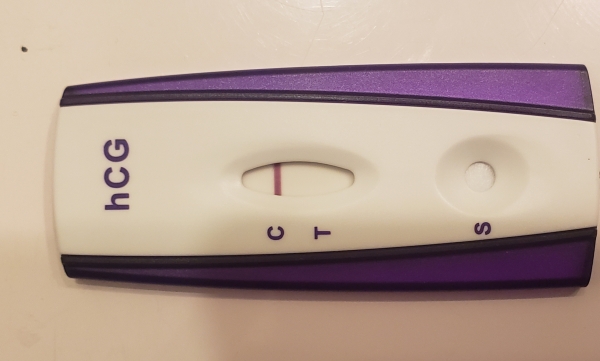 Home Pregnancy Test