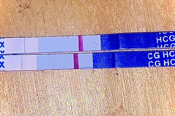 Generic Pregnancy Test, 9 Days Post Ovulation