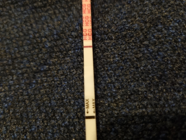 Home Pregnancy Test