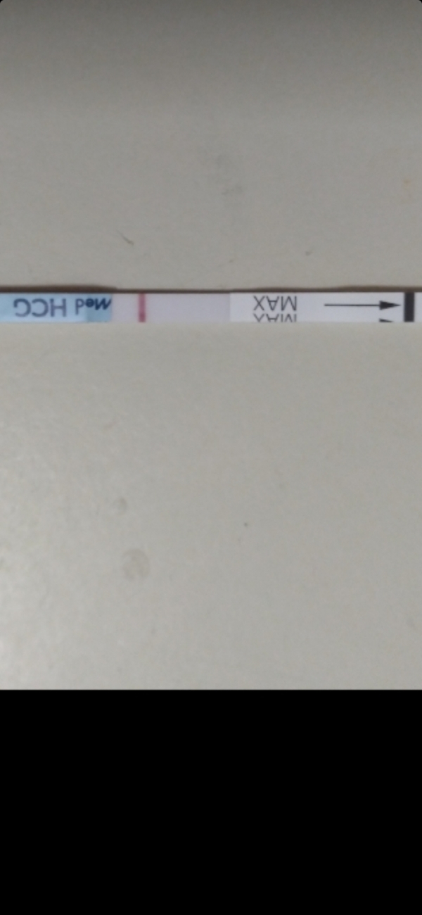 Home Pregnancy Test